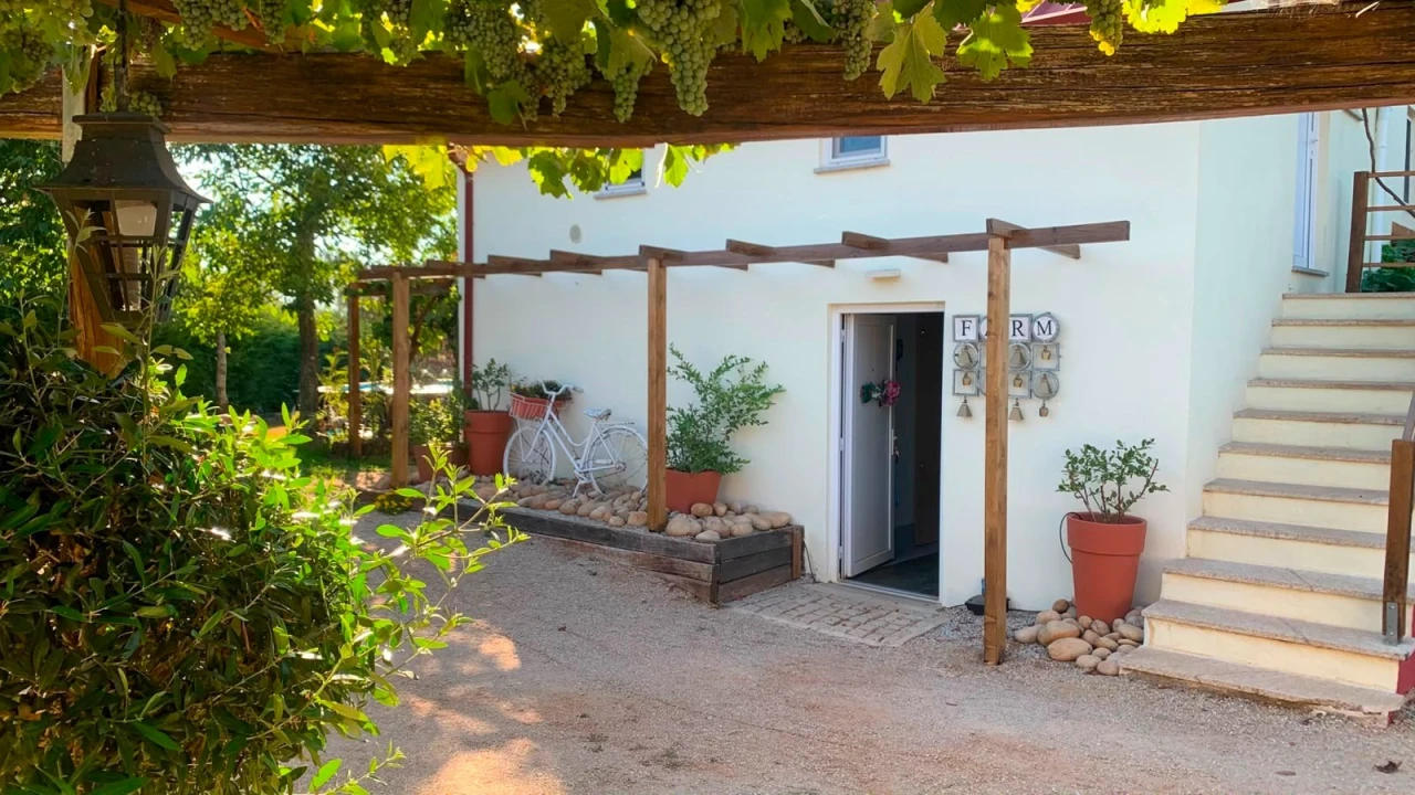Quinta T4 para Venda em Carragozela e Várzea de Meruge Foto 4