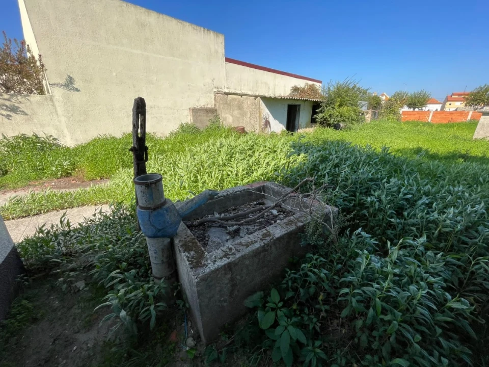 Terreno para Venda em Murtosa Foto 5
