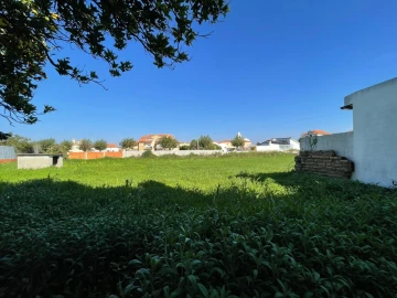 Terreno para Venda em Murtosa