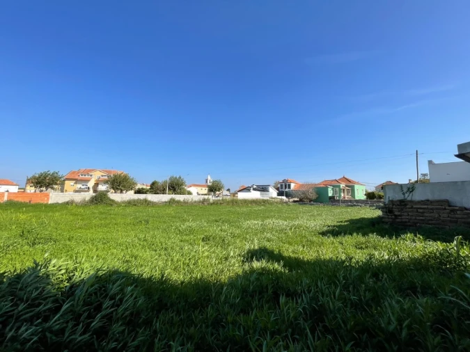 Terreno para Venda em Murtosa Foto 3