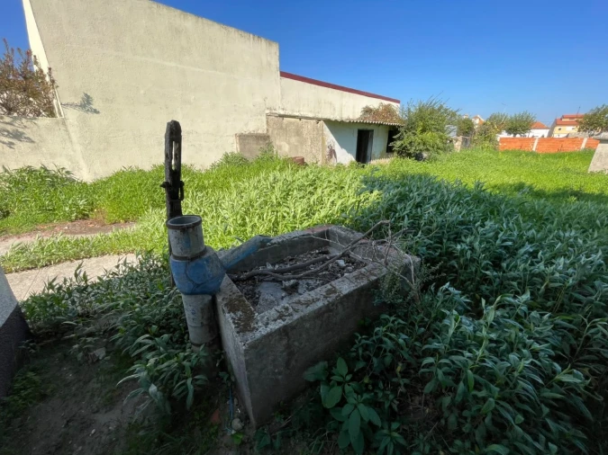 Terreno para Venda em Murtosa Foto 5