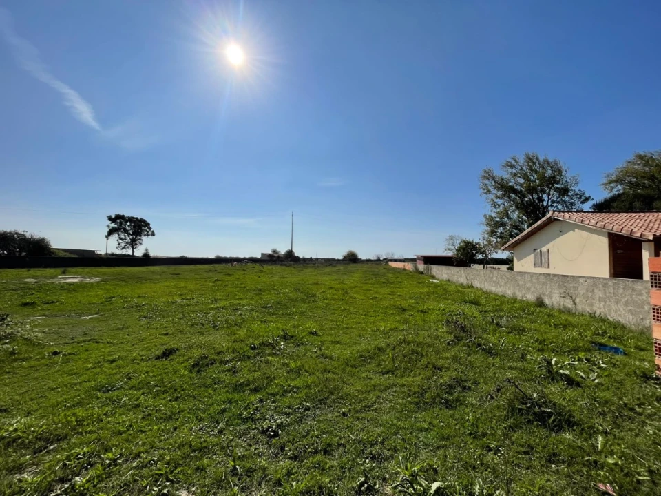 Terreno para Venda em Murtosa Foto 1