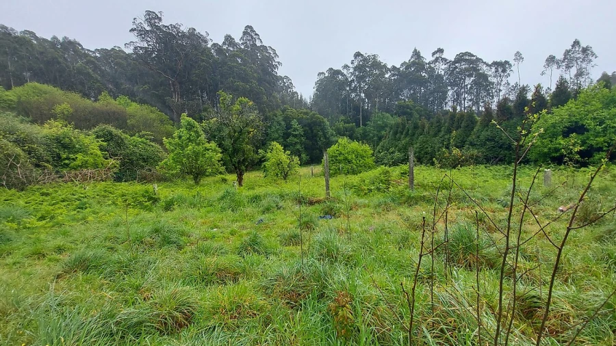Moradia T3 para Venda em Ovar, São João, Arada e São Vicente de Pereira Jusã