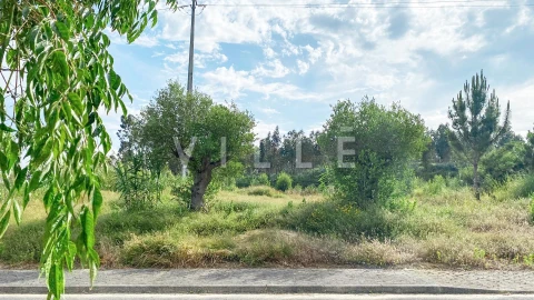Terreno para Venda em Requeixo, Nossa Senhora de Fátima e Nariz