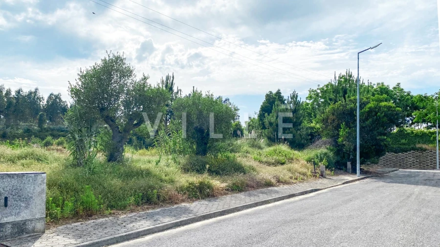 Terreno para Venda em Requeixo, Nossa Senhora de Fátima e Nariz Foto 11