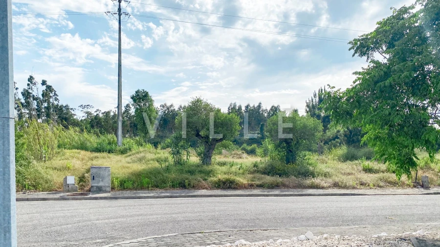 Terreno para Venda em Requeixo, Nossa Senhora de Fátima e Nariz Foto 15