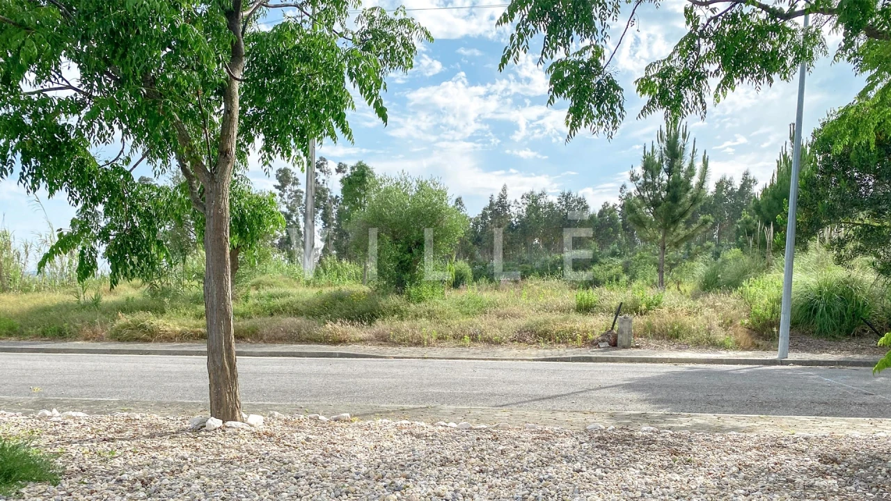 Terreno para Venda em Requeixo, Nossa Senhora de Fátima e Nariz Foto 4