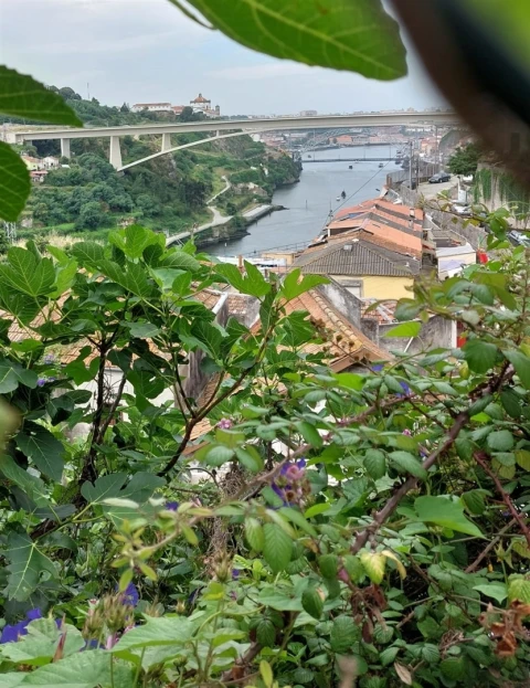 Apartamento T1 para Venda em Bonfim