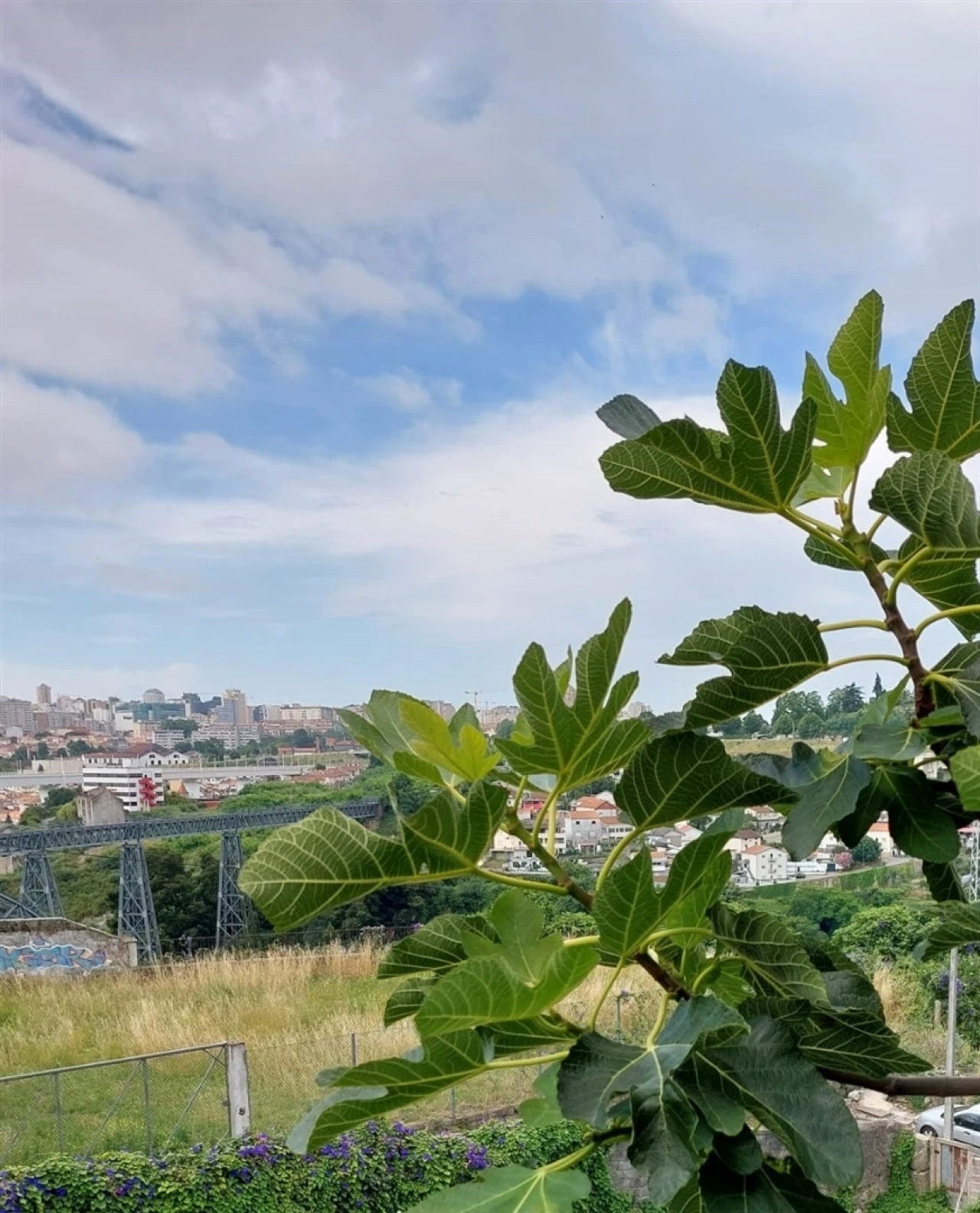 Apartamento T1 para Venda em Bonfim Foto 9