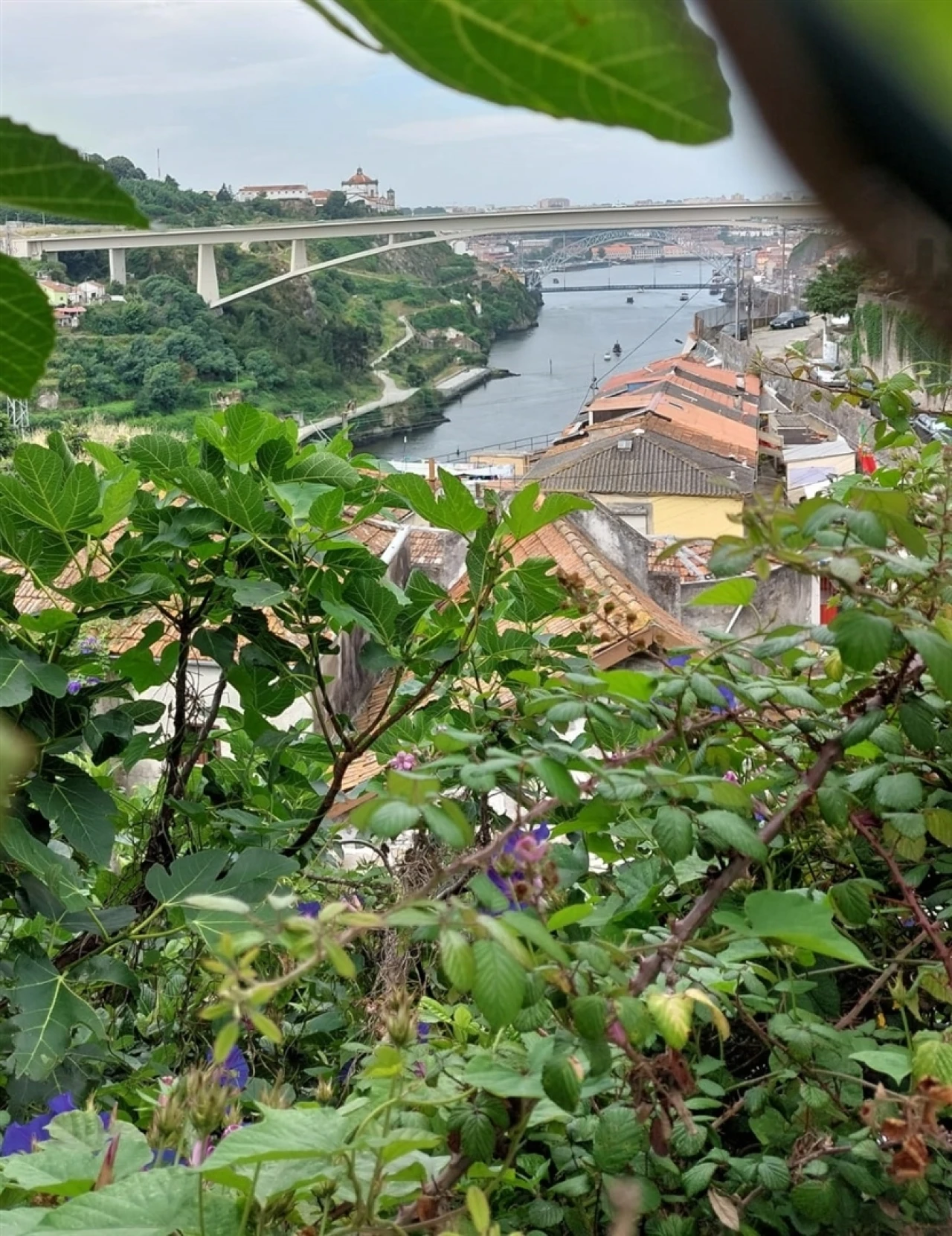Apartamento T3 para Venda em Bonfim Foto 12