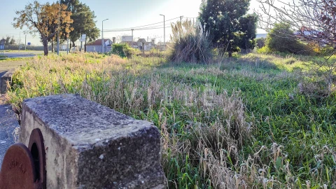 Terreno para Venda em Ílhavo (São Salvador)