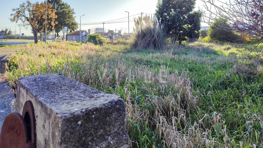 Terreno para Venda em Ílhavo (São Salvador) Foto 8