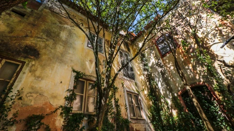 Prédio para Venda em Arcos e Mogofores