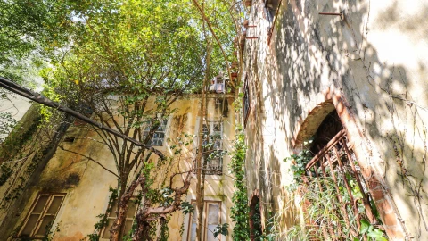 Prédio para Venda em Arcos e Mogofores