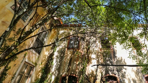 Prédio para Venda em Arcos e Mogofores