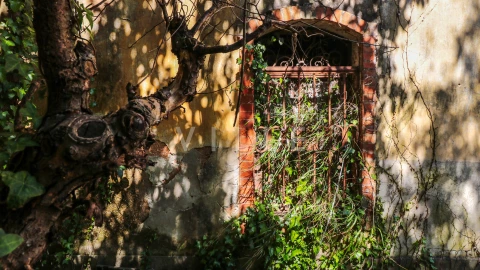 Prédio para Venda em Arcos e Mogofores