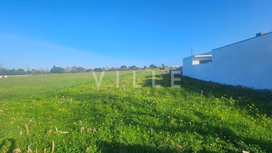 Terreno para Venda em Santa Joana