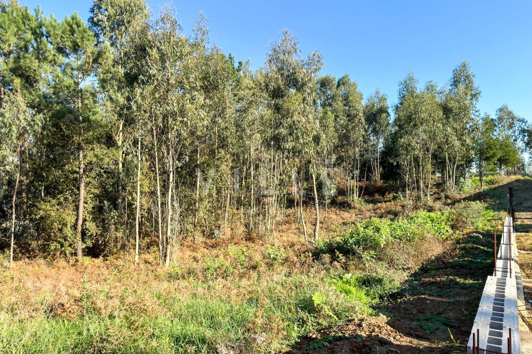 Terreno para Venda em Anta e Guetim Foto 8