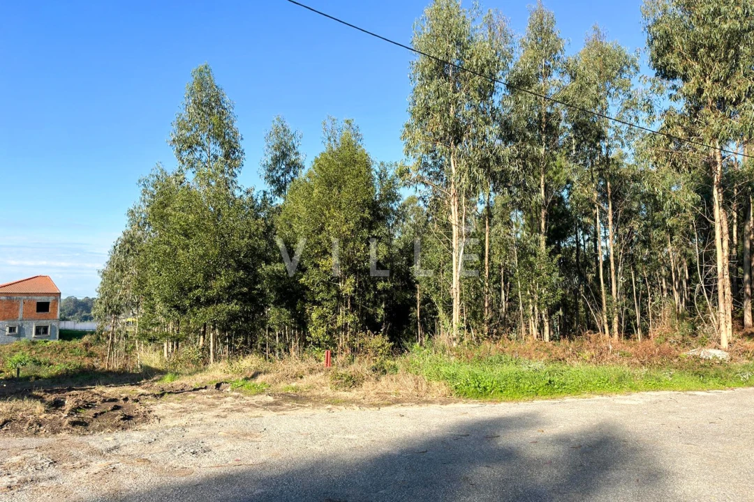 Terreno para Venda em Anta e Guetim Foto 2