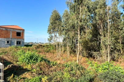 Terreno para Venda em Anta e Guetim