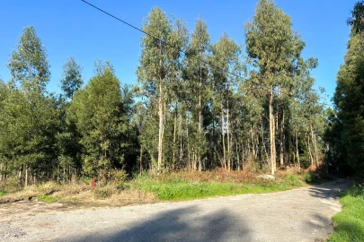 Terreno para Venda em Anta e Guetim