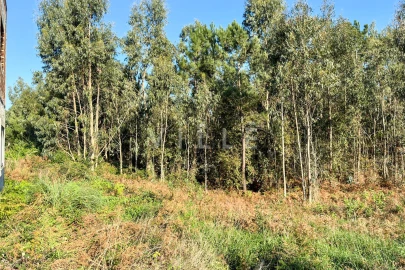 Terreno para Venda em Anta e Guetim