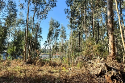 Terreno para Venda em Anta e Guetim
