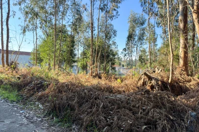 Terreno para Venda em Anta e Guetim
