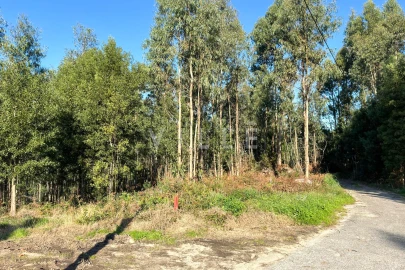 Terreno para Venda em Anta e Guetim