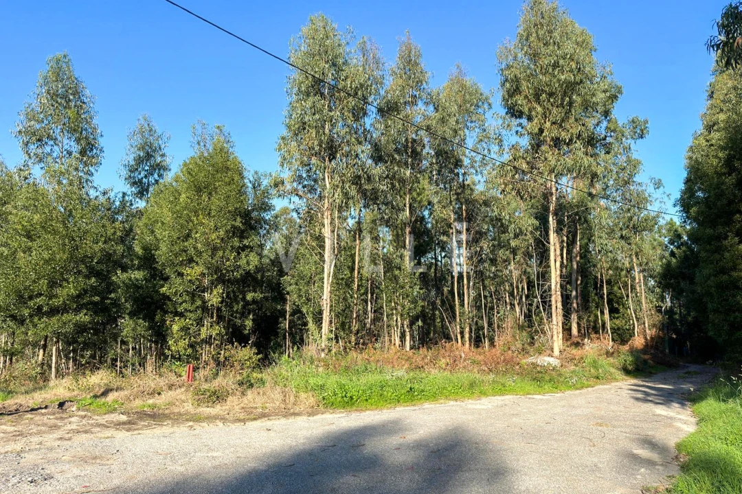 Terreno para Venda em Anta e Guetim Foto 1