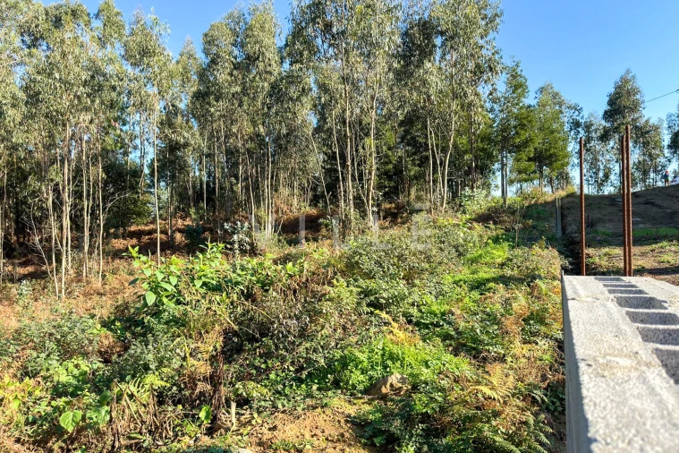 Terreno para Venda em Anta e Guetim Foto 7