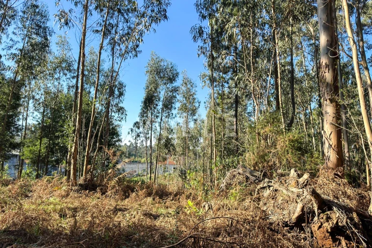 Terreno para Venda em Anta e Guetim Foto 5