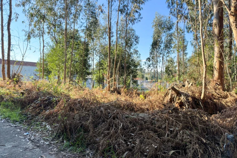 Terreno para Venda em Anta e Guetim Foto 4