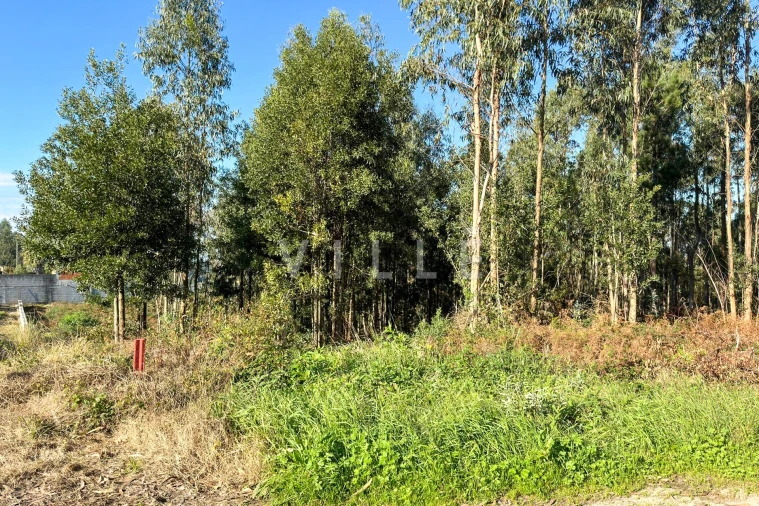 Terreno para Venda em Anta e Guetim Foto 3