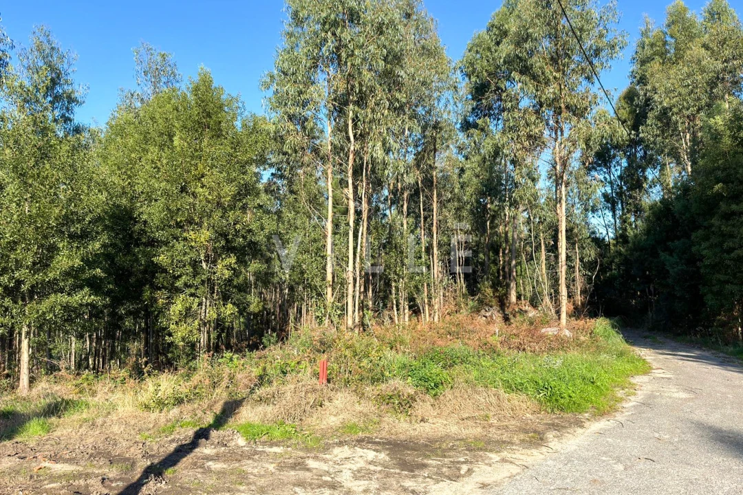Terreno para Venda em Anta e Guetim Foto 10