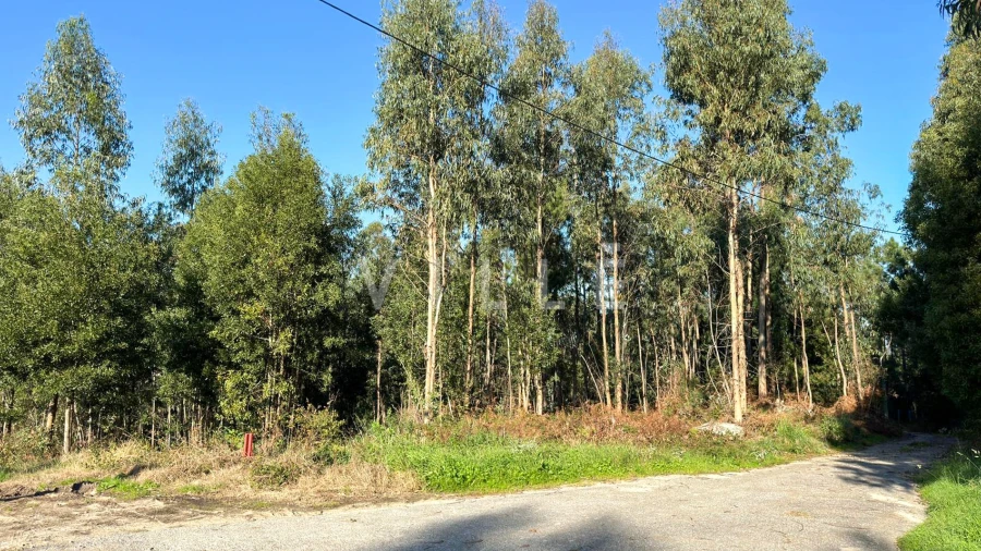 Terreno para Venda em Anta e Guetim