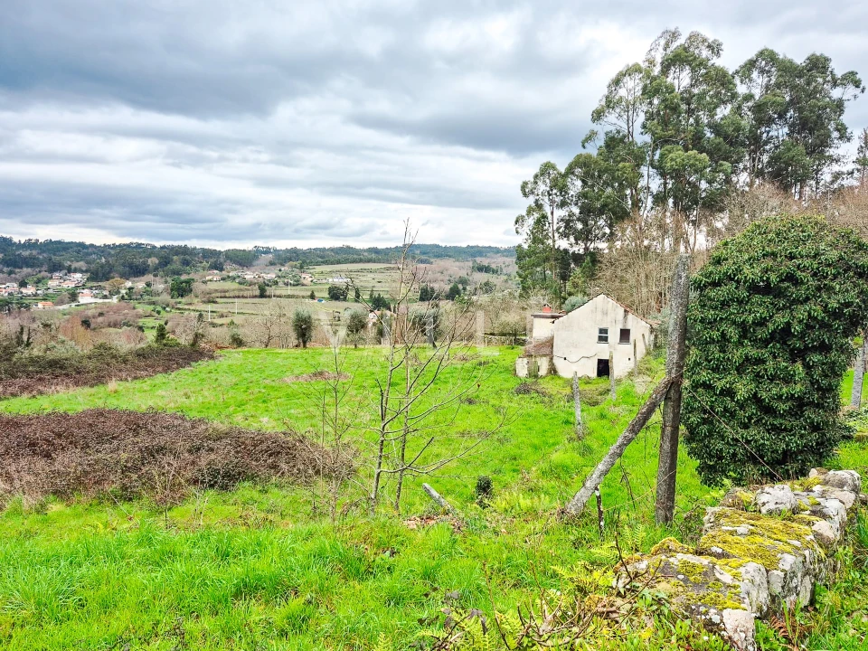 Moradia T0 para Venda em São Miguel do Mato Foto 20