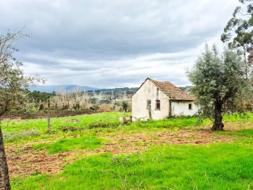 Moradia T0 para Venda em São Miguel do Mato