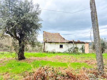 Moradia T0 para Venda em São Miguel do Mato