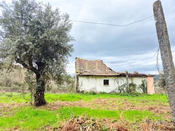 Moradia T0 para Venda em São Miguel do Mato