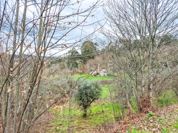 Moradia T0 para Venda em São Miguel do Mato