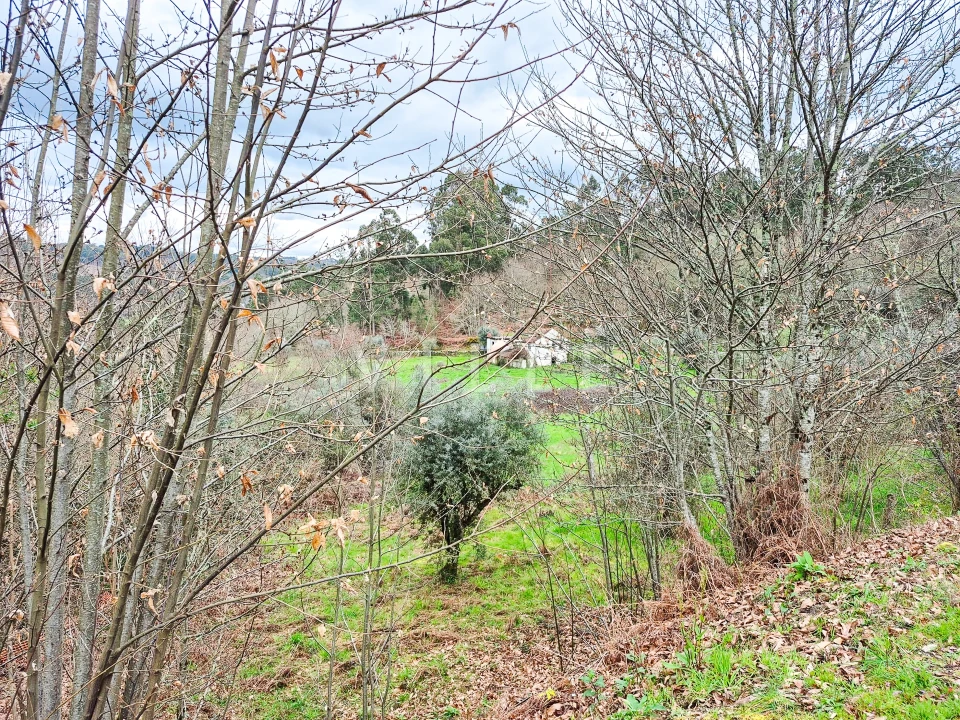 Moradia T0 para Venda em São Miguel do Mato Foto 24
