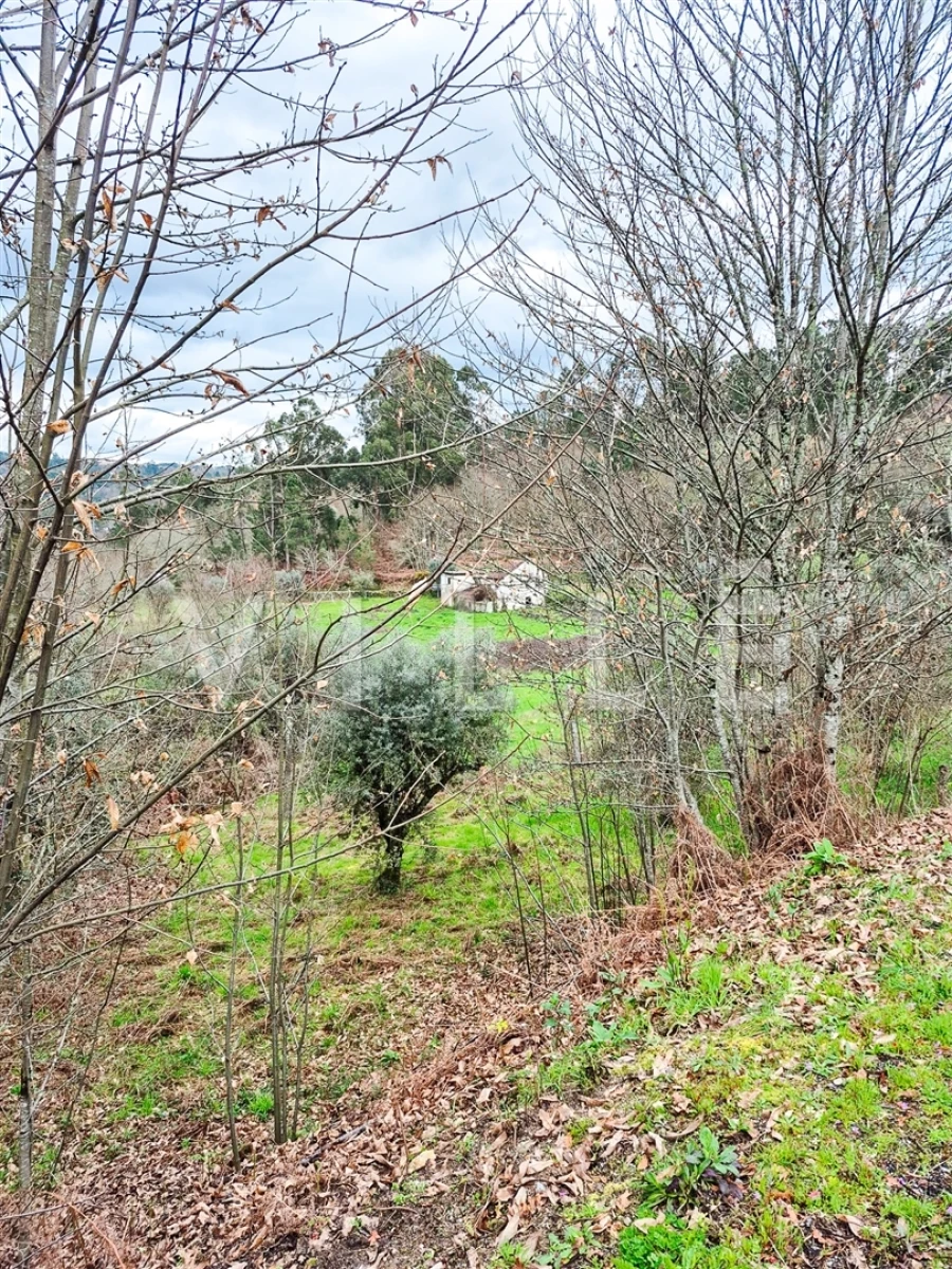 Moradia T0 para Venda em São Miguel do Mato Foto 25