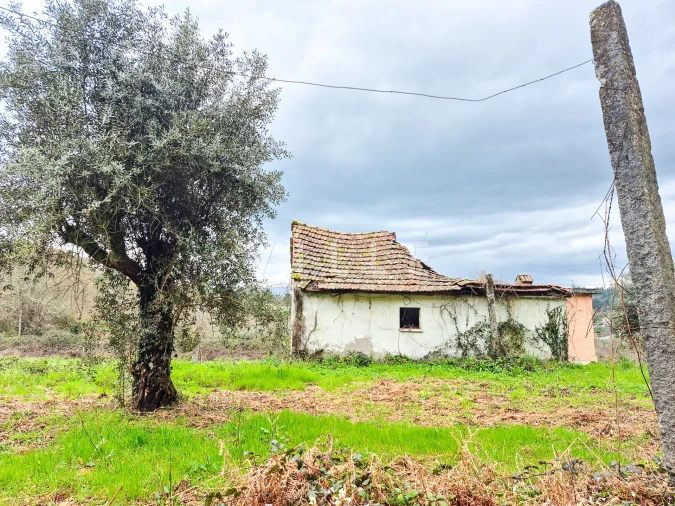 Moradia T0 para Venda em São Miguel do Mato Foto 7