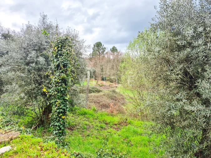 Moradia T0 para Venda em São Miguel do Mato Foto 23