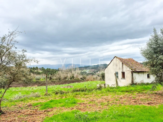 Moradia T0 para Venda em São Miguel do Mato Foto 19