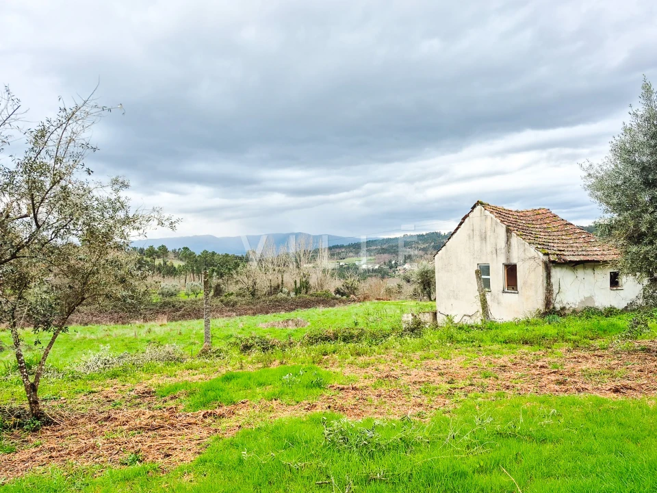 Moradia T0 para Venda em São Miguel do Mato Foto 1