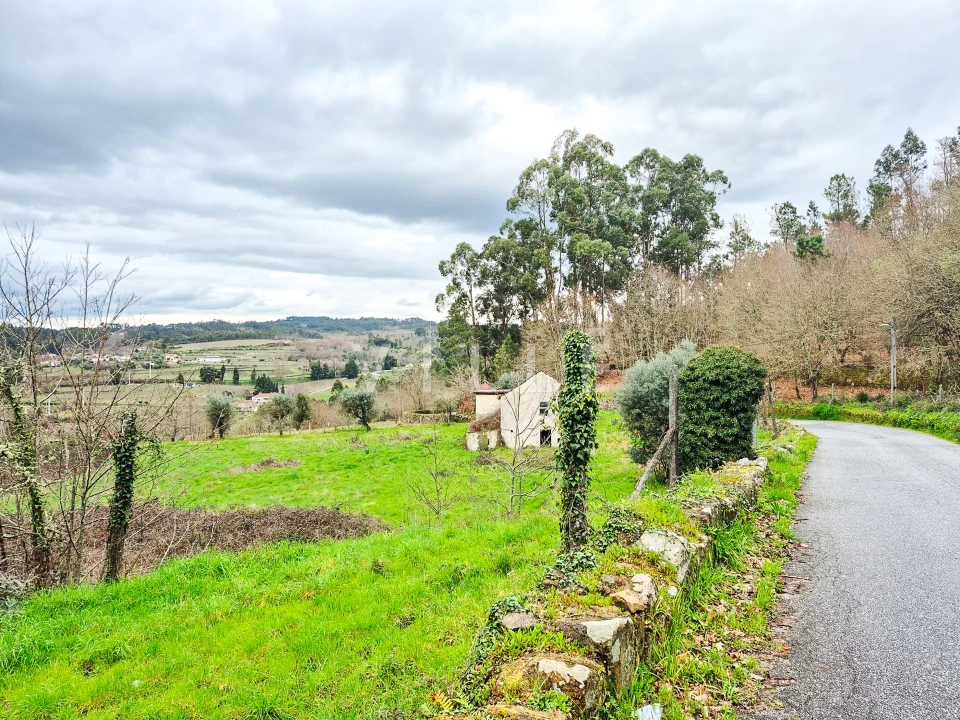 Moradia T0 para Venda em São Miguel do Mato Foto 6