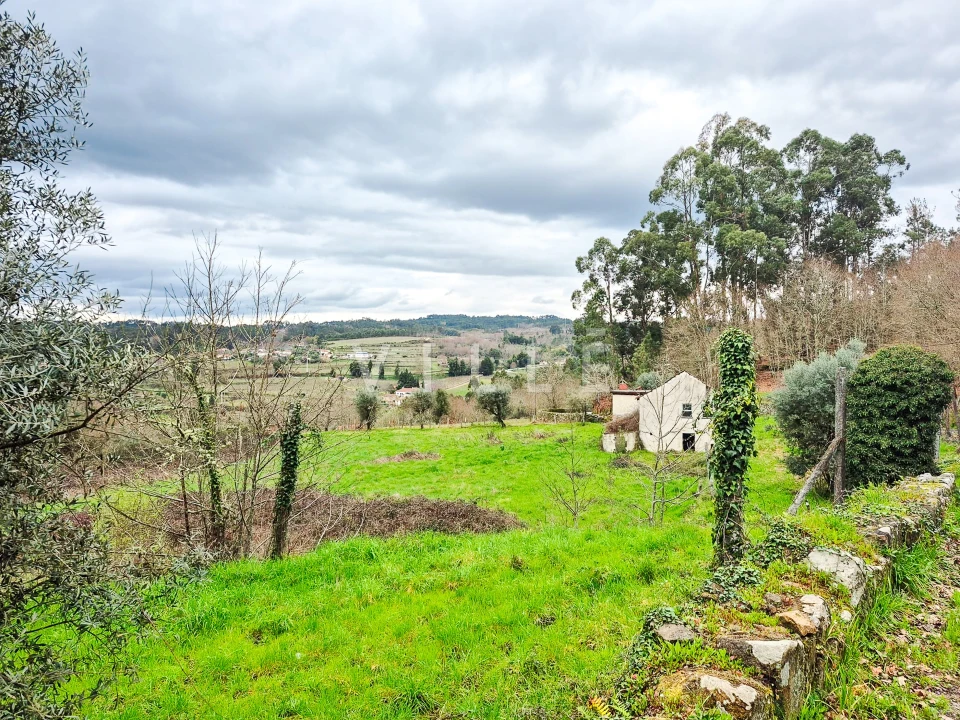 Moradia T0 para Venda em São Miguel do Mato Foto 5