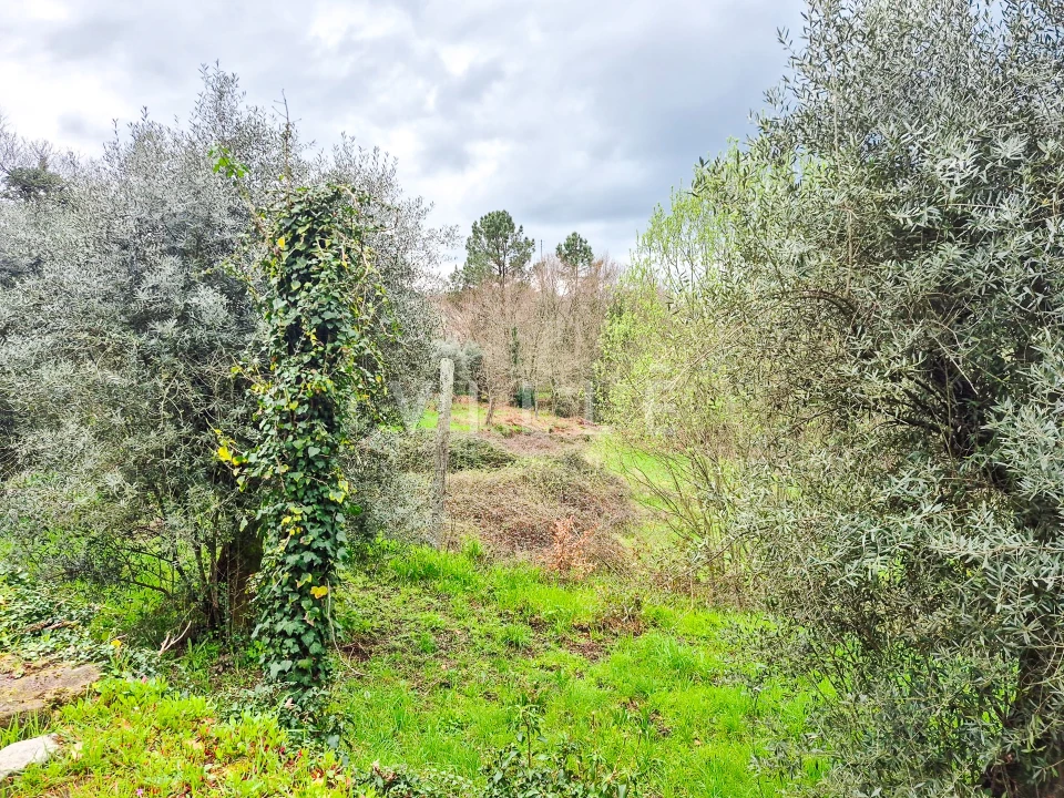 Moradia T0 para Venda em São Miguel do Mato Foto 23